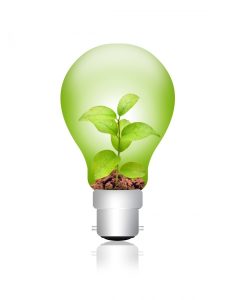 plant-in-lightbulb